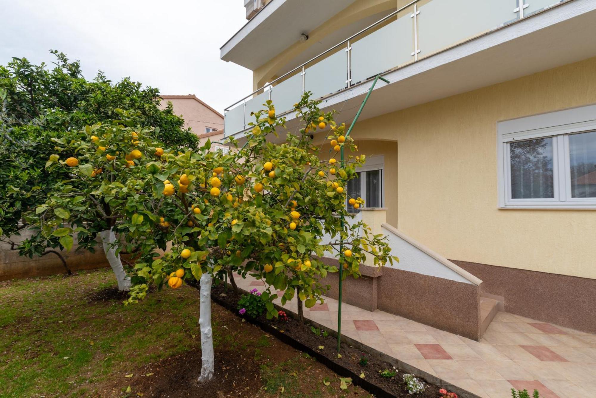 Villa K&F Borik Zadar Extérieur photo