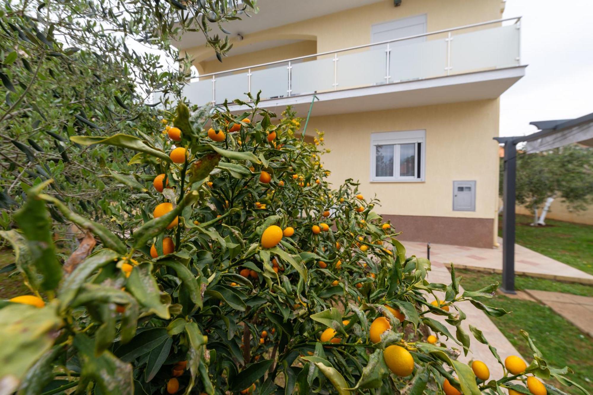 Villa K&F Borik Zadar Extérieur photo
