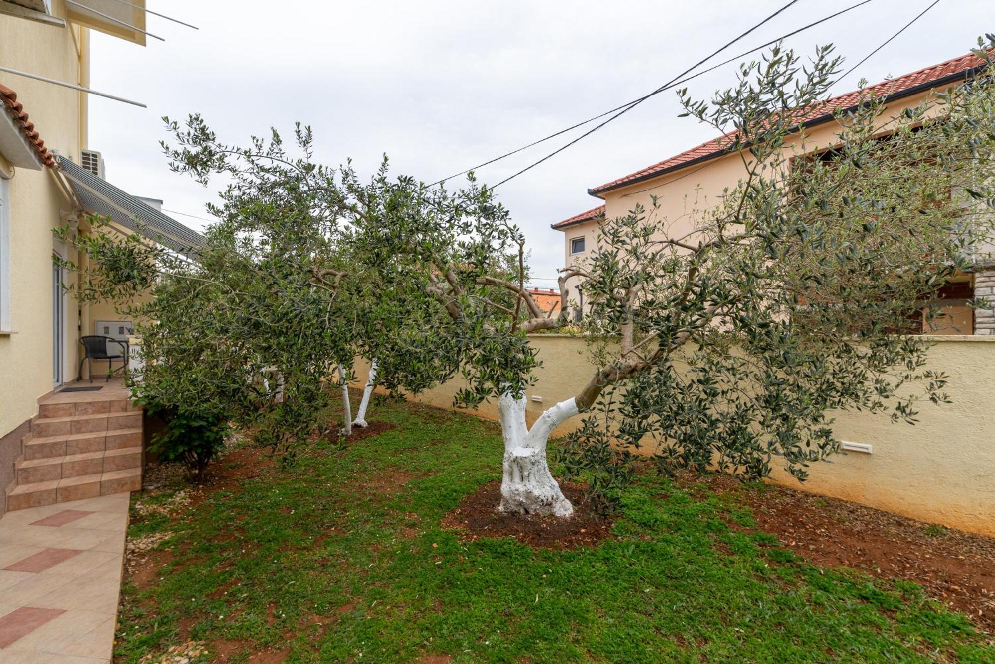 Villa K&F Borik Zadar Extérieur photo